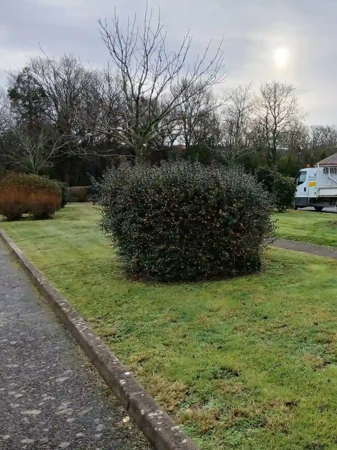 Zone verte envahie par les herbes hautes dans le lotissement de la Piraudière avant passage des paysagistes.