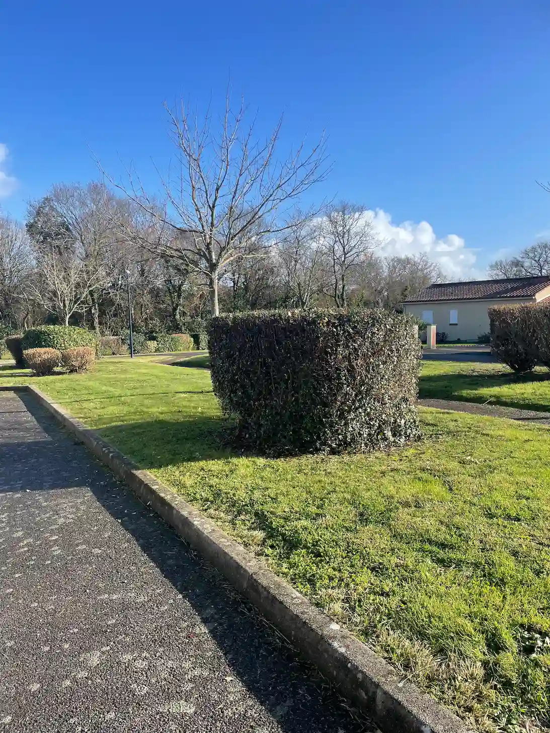 Espaces verts tondus et propres après contrat d'entretien annuel au lotissement de la Piraudière à La Plaine-sur-Mer.